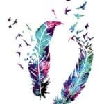feathers 2 pack temporary tattoos
