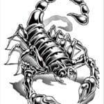 Buy SCORPION Tattoos Online in Australia at Best Price - Quick Tattz