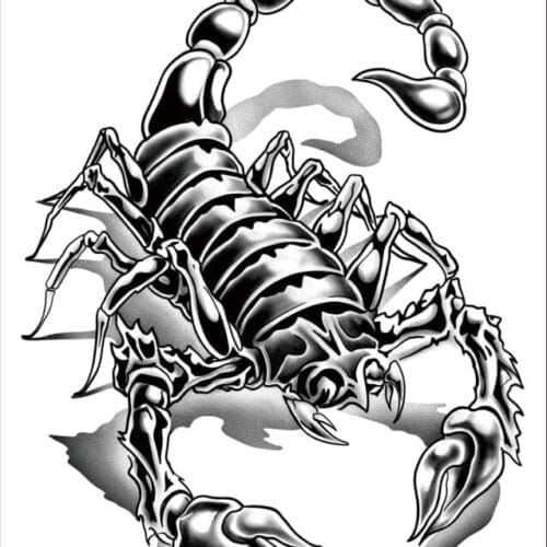 SCORPION - Image 1