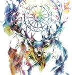 Buy colourful stag tattoos