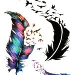 feathers 3 set temporary tattoos